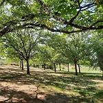 Domaine De La Boria モンティニャック