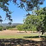 Domaine De La Boria 別荘 モンティニャック