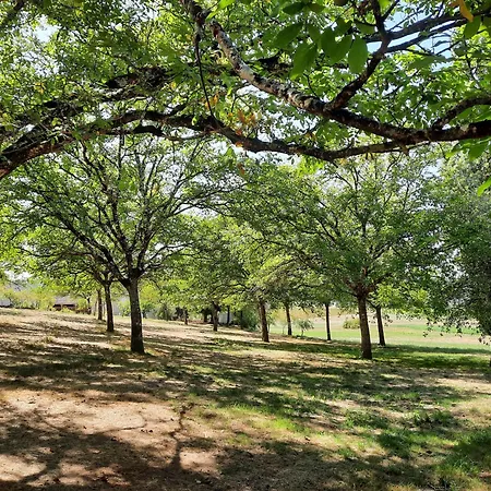 Domaine De La Boria Montignac-Lascaux