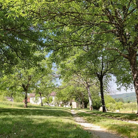 Domaine De La Boria * Montignac-Lascaux